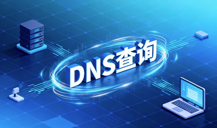 DNS查询