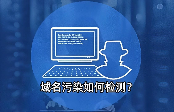 域名污染检测