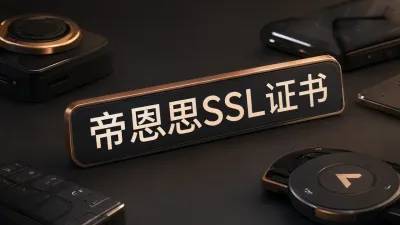 帝恩思SSL证书