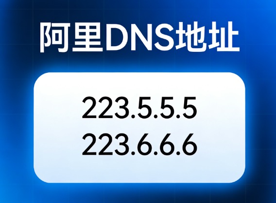 阿里DNS地址