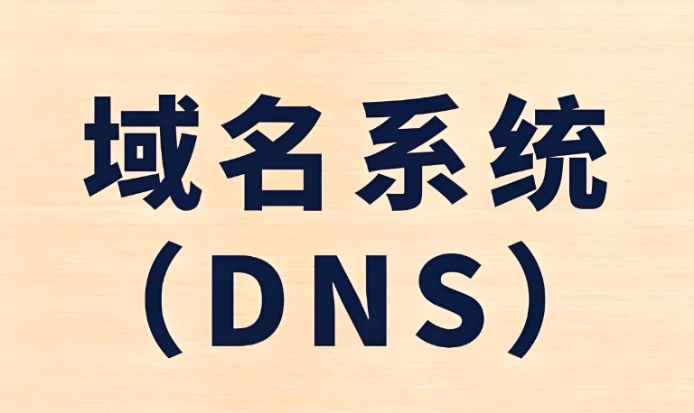 域名系统