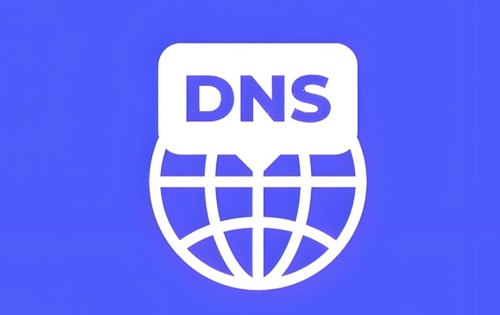 DNS端口号