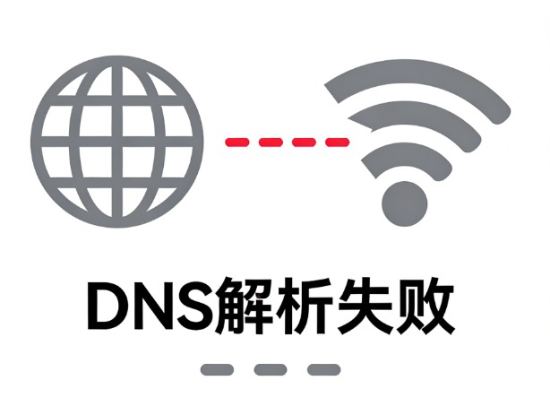 DNS在线解析失败