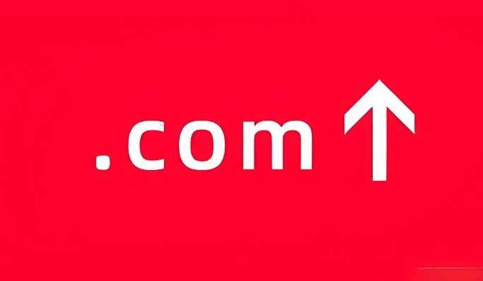 域名.com