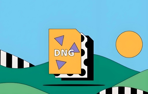 DNG格式文件