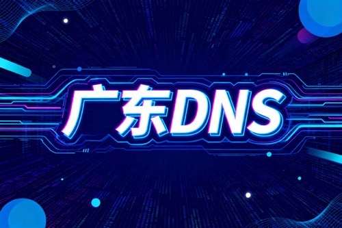 广东DNS
