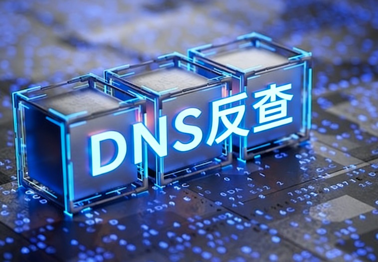 DNS反查