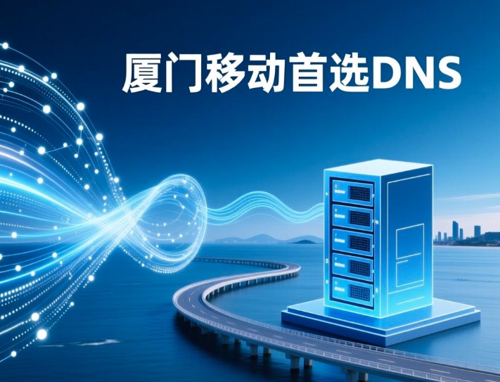 移动网络首选DNS