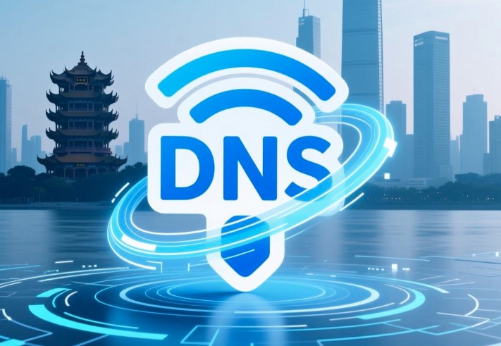 武汉DNS