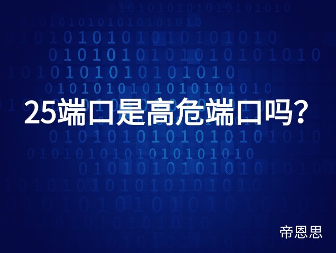 25端口