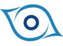 ZoomEye Pro